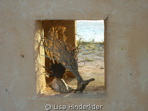 Evening light through the window at Red Slave, Bonaire by Lisa Hinderlider 